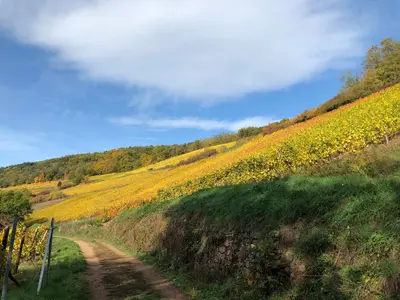 Paysage naturel près de l'appartement
