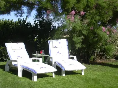 Jardin de l'établissement Vignoble