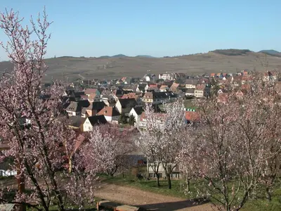 Paysage naturel près de l'appartement