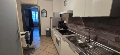 Cuisine ou kitchenette dans l'établissement Appartement avec jardin à Colmar