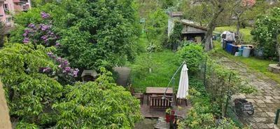 Jardin de l'établissement Appartement avec jardin à Colmar