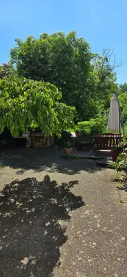Jardin de l'établissement Appartement avec jardin à Colmar