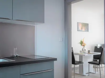 Cuisine ou kitchenette dans l'établissement Comfort Stay Basel Airport 1B46