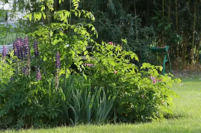 Jardin de l'établissement Les Arts Verts