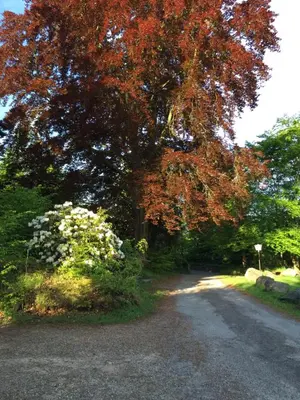 Jardin de l'établissement Le Chalet