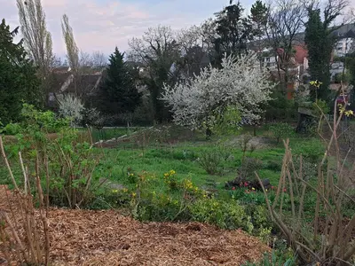 Jardin de l'établissement La maison de Paul