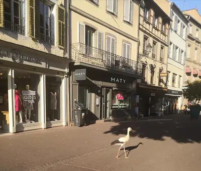 Quartier de l'appartement ou autre quartier proche