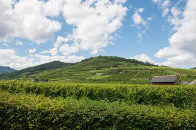 Paysage naturel près de l'appartement