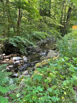 Paysage naturel près de le chalet
