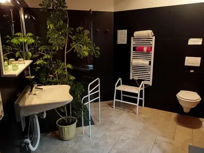 Salle de bains dans l'établissement Chambres d'hôtes Les Rondins De La Fecht