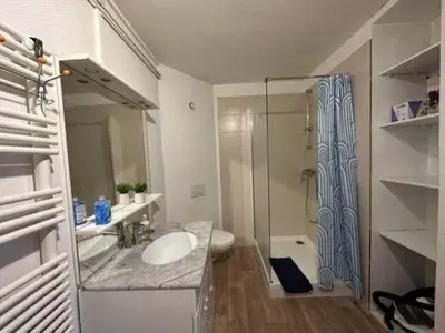 Salle de bains dans l'établissement Beau F3 - Proche Gare