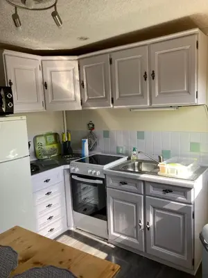 Cuisine ou kitchenette dans l'établissement Gite de la Streng