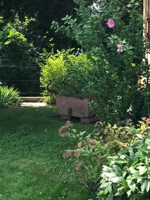 Jardin de l'établissement Gite de la Streng