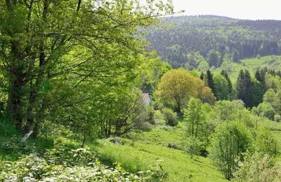 Paysage naturel près de la maison de vacances