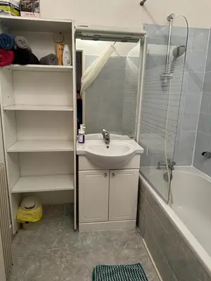 Salle de bains dans l'établissement Le Cocon - 3 pièces Mulhouse Gare/Centre