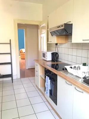 Cuisine ou kitchenette dans l'établissement L'Appart Bleu - Lumineux F3 Mulhouse Gare/Centre