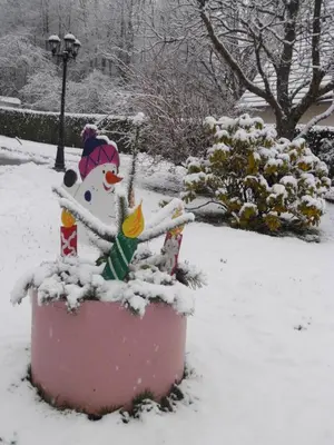 L'établissement Le Charme de l'Altenberg en hiver