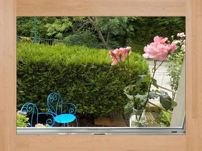Jardin de l'établissement LES HORTENSIAS