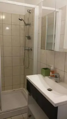 Salle de bains dans l'établissement F3 lumineux & cosy au centre de Mulhouse