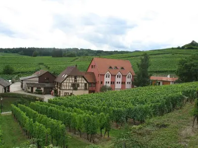 Paysage naturel près de l'appartement