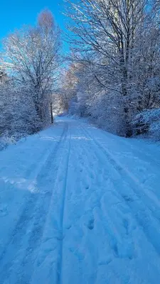 L'établissement FLAMBOYANT en hiver