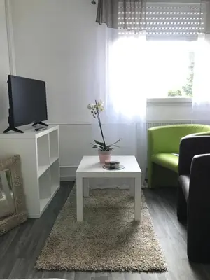 Télévision ou salle de divertissement dans l'établissement Studio 5 Near Basel Airport