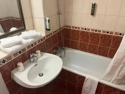 Salle de bains dans l'établissement Hôtel Restaurant Au Relais D'Alsace
