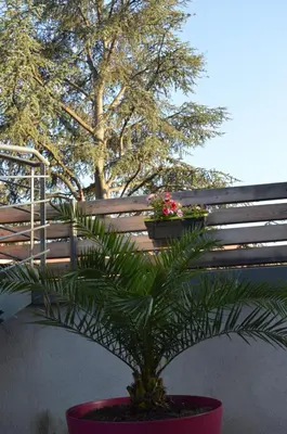 Jardin de l'établissement Gîte de la Tour