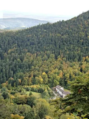 Paysage naturel près de l'hôtel