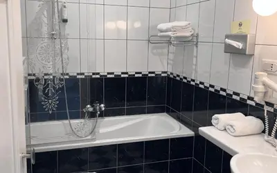 Salle de bains dans l'établissement Hotel Restaurant Du Parc