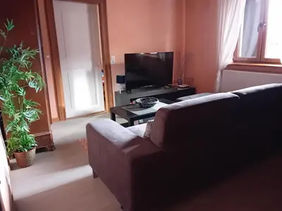 Télévision ou salle de divertissement dans l'établissement appartement spacieux dans joli village alsacien