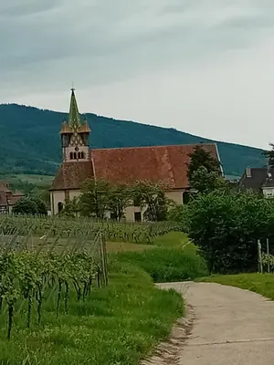 Paysage naturel près de l'appartement