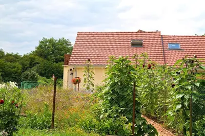 Jardin de l'établissement Gîte des Prés de la Douce