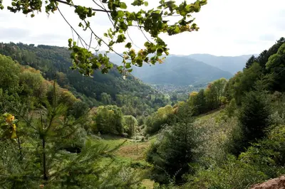 Paysage naturel près de l'hôtel