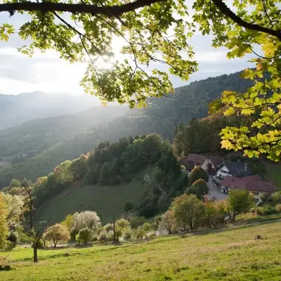 Logis Auberge Du Mehrbachel - Hôtel & Restaurant