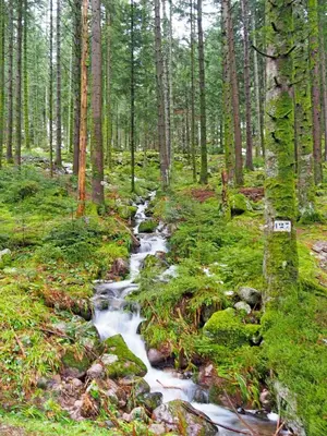 Paysage naturel près de l'appartement