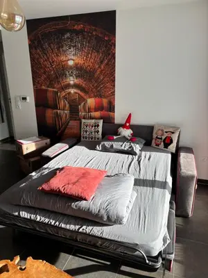 Un ou plusieurs lits dans un hébergement de l'établissement Le Riesling Colmar centre Charmant appartement avec terrasse et parking gratuit