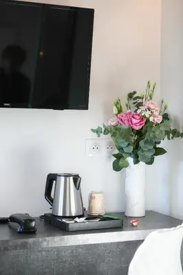 Télévision ou salle de divertissement dans l'établissement Hôtel restaurant Relais de Rixheim Ile Napoléon Mulhouse