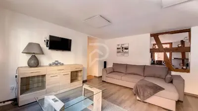 Télévision ou salle de divertissement dans l'établissement Le Zen d'Eguisheim
