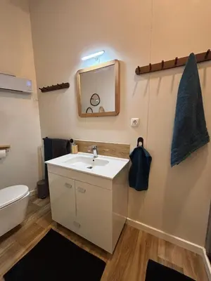 Salle de bains dans l'établissement LE PIED A TERRE SELESTADIEN