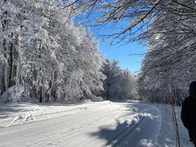 L'établissement Les écureuils en hiver