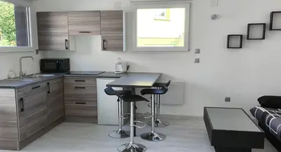 Cuisine ou kitchenette dans l'établissement Au petit canal de COLMAR 2