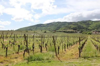 Paysage naturel près de l'appartement