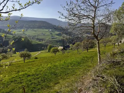 Paysage naturel près de la maison de vacances