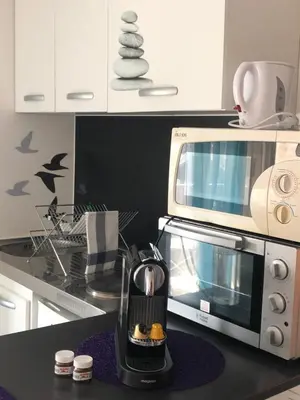 Cuisine ou kitchenette dans l'établissement Joli Studio A Euroairport-BASEL-MULHOUSE-FREIBURG