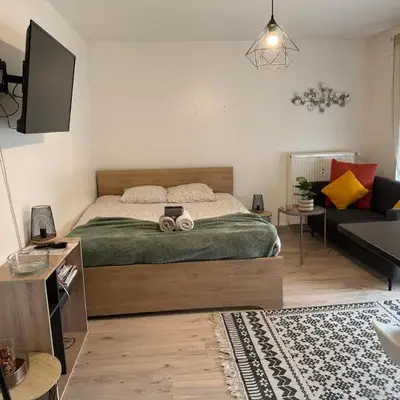 Joli Studio A Euroairport-BASEL-MULHOUSE-FREIBURG