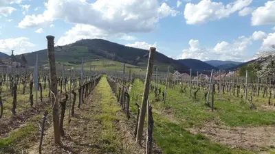 Paysage naturel près de la maison de vacances