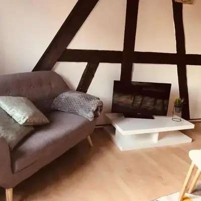 Le petit Colmarien hyper-centre
