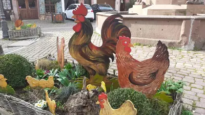 Animaux dans le B&B/chambre d'hôtes ou à proximité