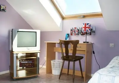 Télévision ou salle de divertissement dans l'établissement Hotel Restaurant De La Poste Mulhouse Ottmarsheim